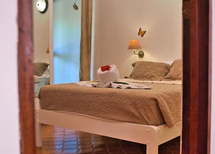 Hotel Selva Y Mar Samara Hotel 4*