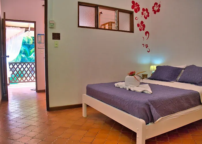 Hotel Selva Y Mar Samara Hotel 4*