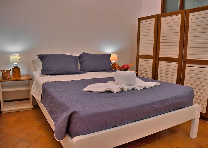 Hotel Selva Y Mar Samara 4*