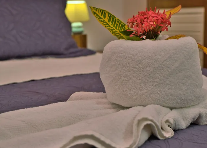 Hotel Selva Y Mar Samara Hotel 4*